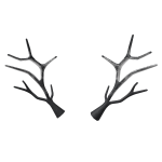  Shiny Antlers