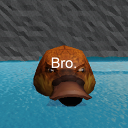 Bro. [VC]