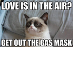 Luv bugs!! <3