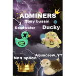 ADMINERS GROUP