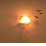 Cute sun