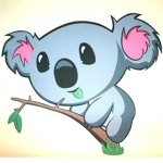 Koala Fan Club (Koala)