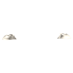 FC Ears