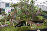Carnivorous Plant Society