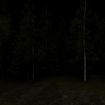 In the Woods