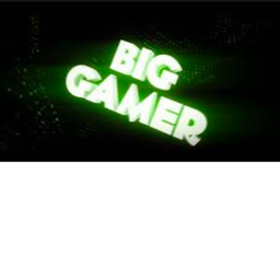 big gamer kingdom