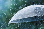 Umbrella Studio KR