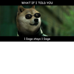 DOGE CLAN / WOW