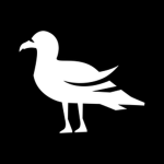 Squawk Official Group