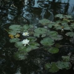 ୨ৎ