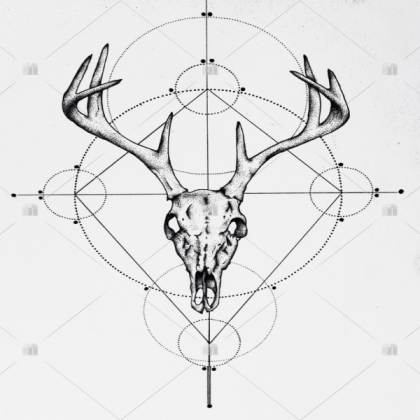 Deer Skull Drawing Roblox decal