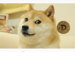 The woof. Woof Dogs