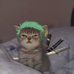 i loveee cats
