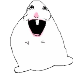 .•,~ cutegwre~,•.