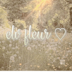 elv apparel
