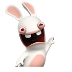 The Rabbit's