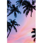 We Like Summer Vibes