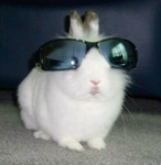AM COOL :]]