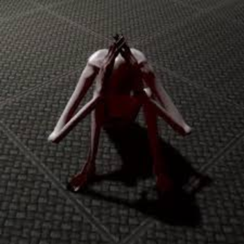Scp 096 TEST