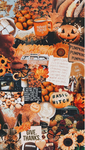 IlyFoxCO
