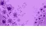 violets!