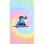JimmyCatJames