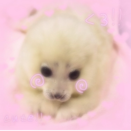 •`ｪ´•！ポーポー！