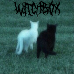 witchbox -