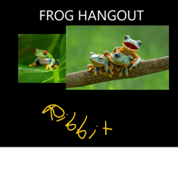 Frog Hangout