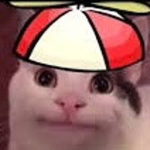 :¢