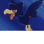 Murkrow Fan Club