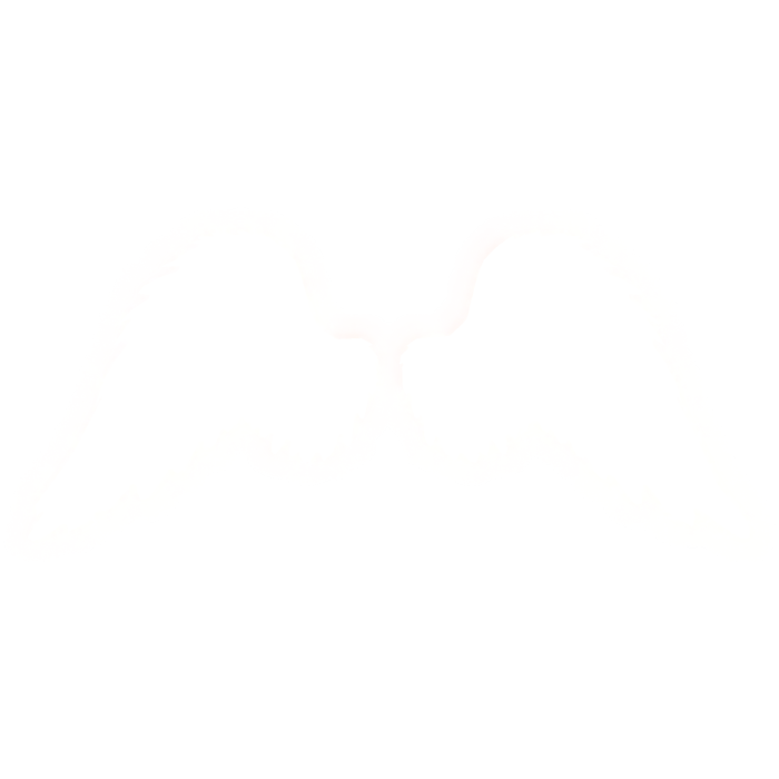 Glowing Emissive Angel Wings