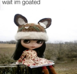 star kitchen Group Thumbnail