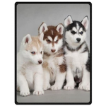-Husky Squad-