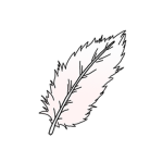 Feather man