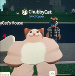 Chubby Cat Cult