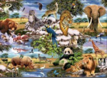 Animals are great group