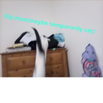 lola_mya_leah_lucy_shonon