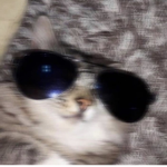 ᴛʜᴇ ᴀʀᴄʜɪᴠᴇ.