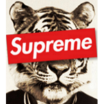 Supreme Soccer Championship