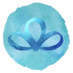 Orgainization Birth by sleep