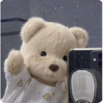 Teddy Township