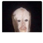 Alex_270k group