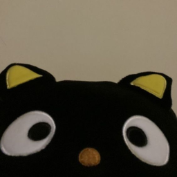 40%