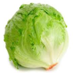 lettuce