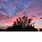 Sunset kindness