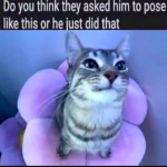 ѵ¹