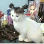 Konichiwua c:<