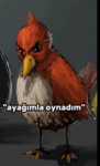 edzemr's community
