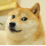 Doge group DOGE GROUP